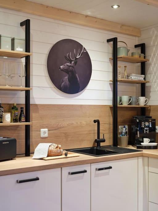 Chalet In Koeln - Tinyhouse エクステリア 写真